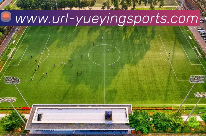 App Interface Preview